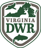 Logotipo de DWR